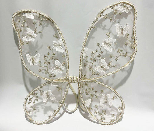 Dreamy butterfly fairy wings